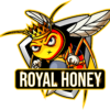 default-logo